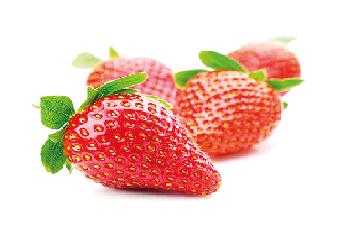 Erdbeeren